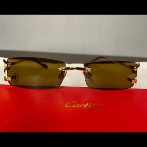 Pair Brown Lens Buffalo horns glasses with gold wire temples.